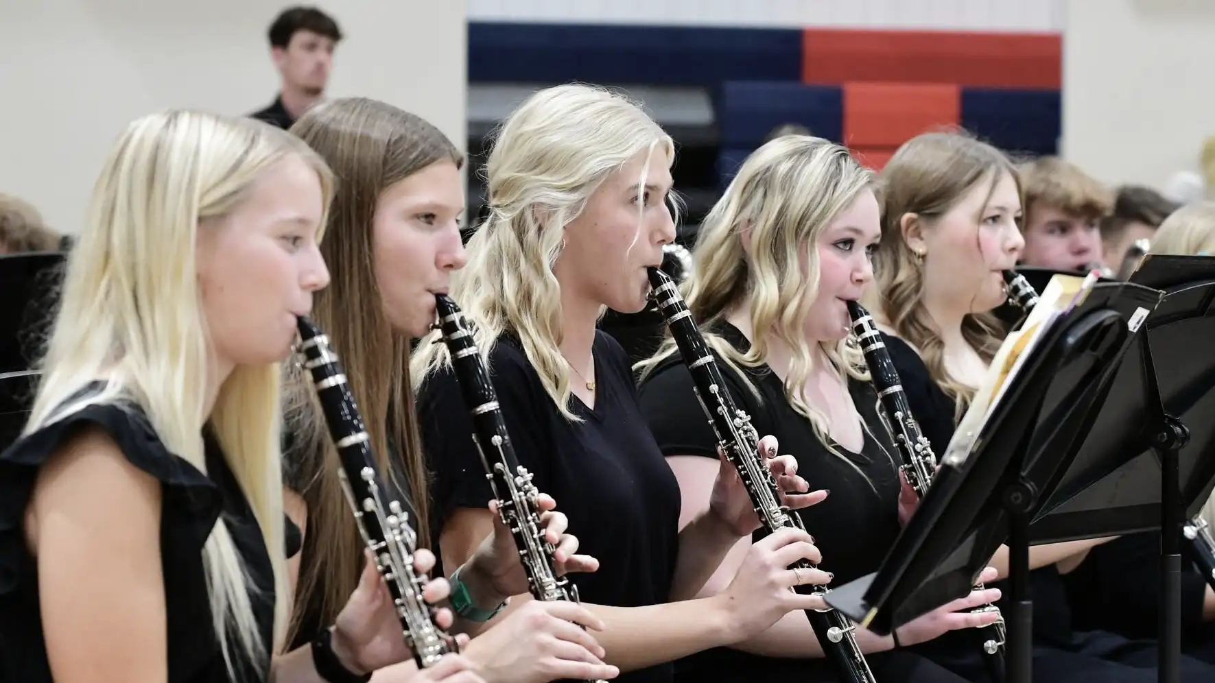 Fertile-Beltrami band photo