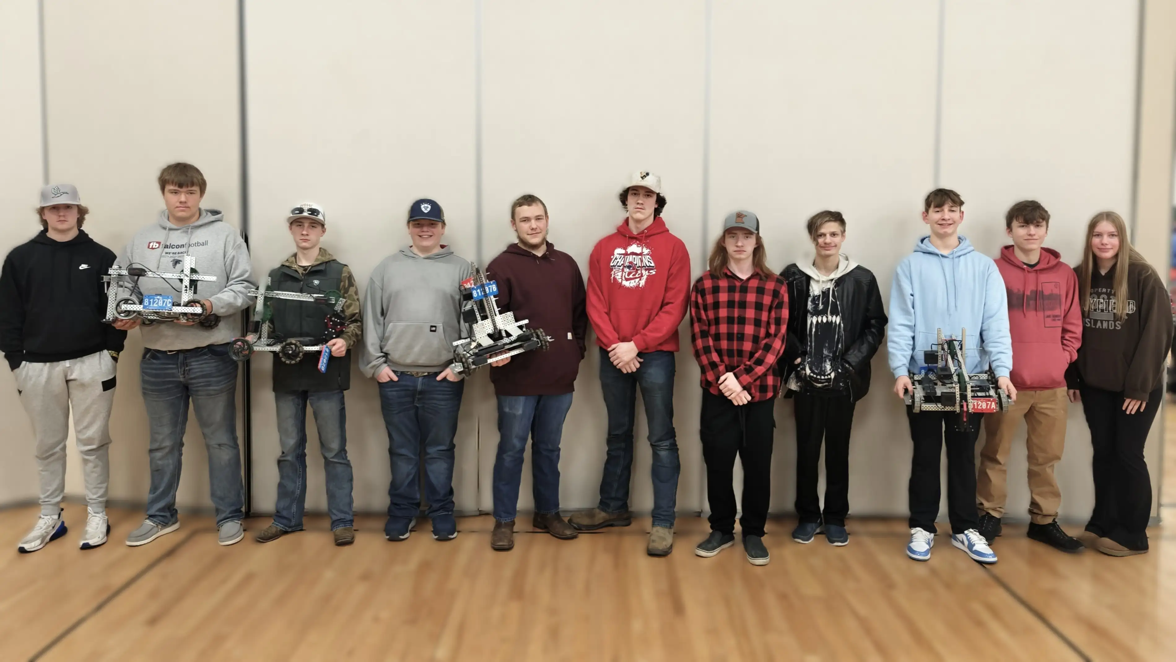 Fertile-Beltrami robotics