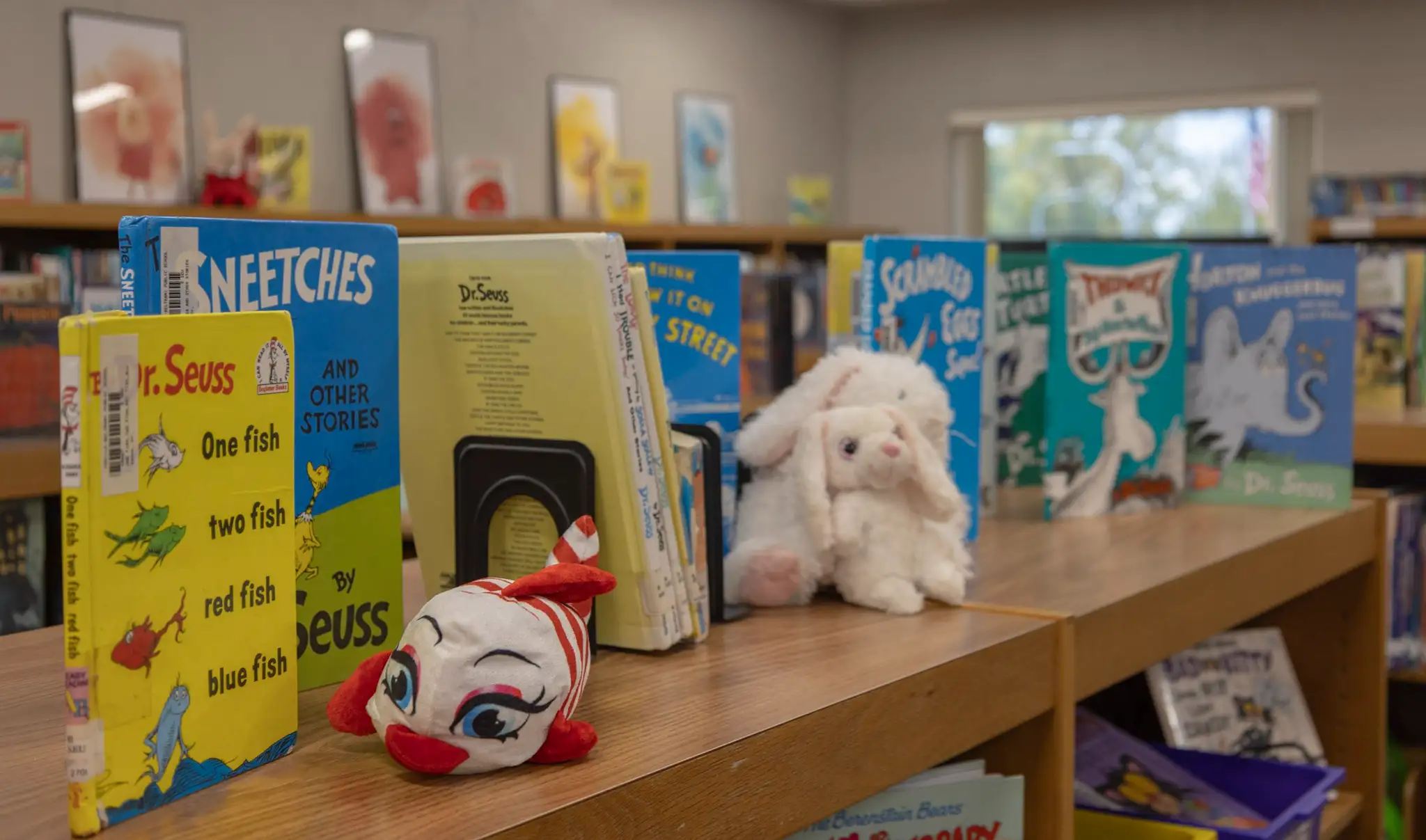 Fertile-Beltrami library